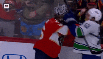 Florida Panthers GIF