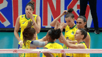 Lets Go Brazil GIF by Volleyball World