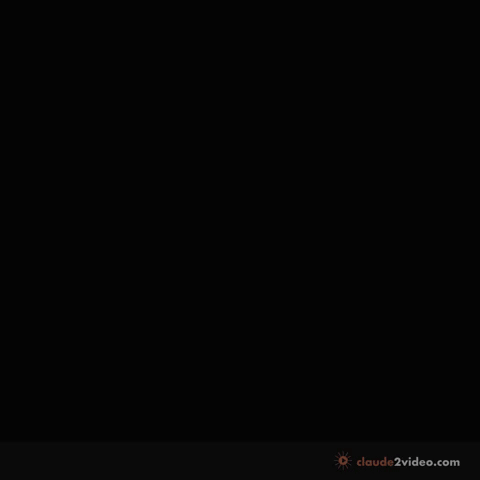 MAD_MONKEYHOSTELS GIF