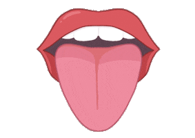 Langue Speak Sticker by Plume&Papote