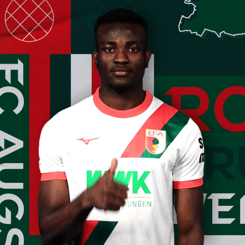 Bundesliga Ok GIF by FC Augsburg 1907