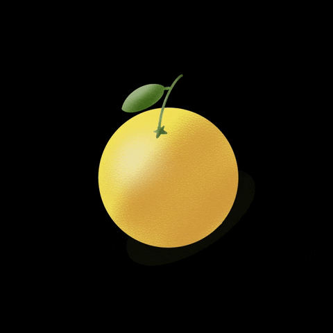 artreani orange fruit fresh vitamin GIF