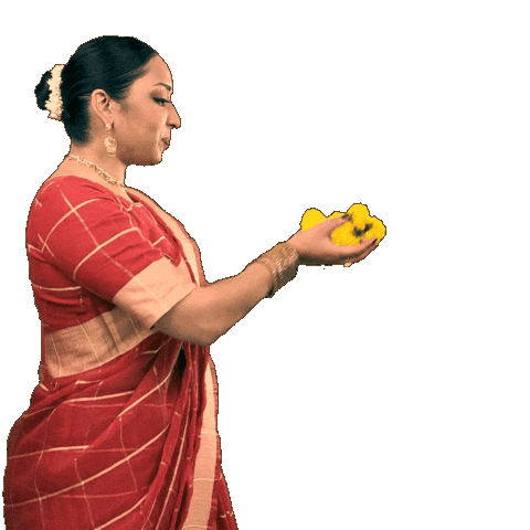 Festival Celebrate Sticker by trichak