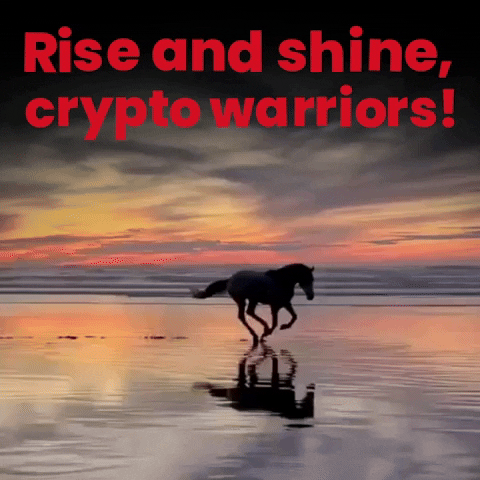 StreamCoin crypto goodmorning cryptocurrency positivity GIF