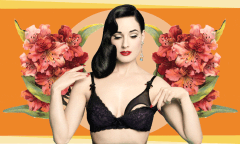 dita von teese