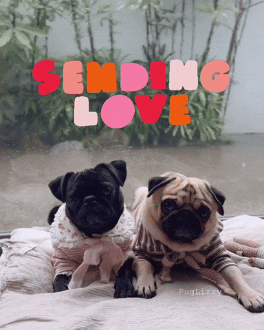 Love You Valentines GIF