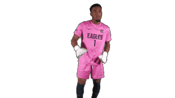 Goalkeeper Keeper Sticker by Carson-Newman Athletics