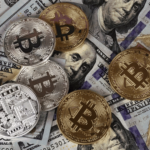 Crypto Invest GIF by Bump-fm