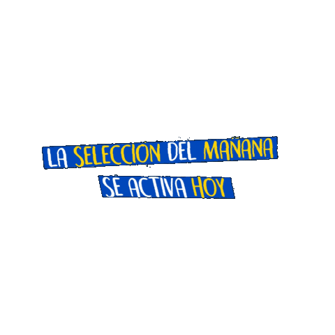 Copa Nestle Sticker by Televisora Nacional S.A.