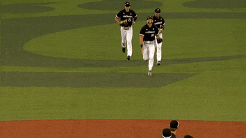 College Baseball Win GIF by Cincinnati Bearcats