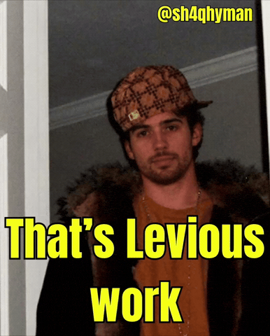 Goalie Levi GIF