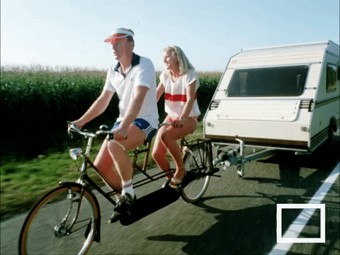 Moving No Pain No Gain GIF by Beeld & Geluid - Find & Share on GIPHY