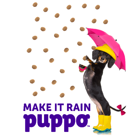 Dog Food Wink Sticker