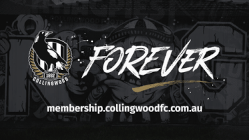 magpies GIF by CollingwoodFC