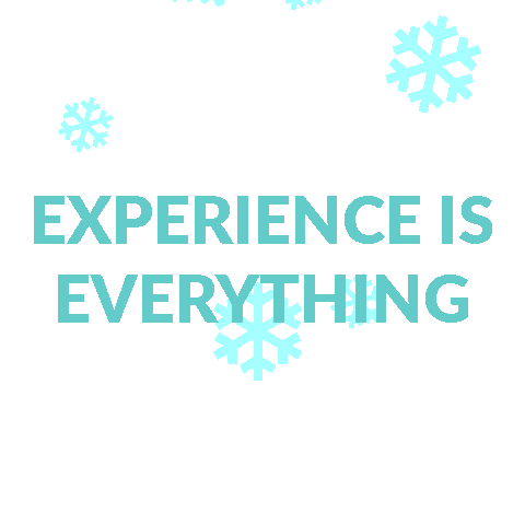 Snow Experienceiseverything Sticker