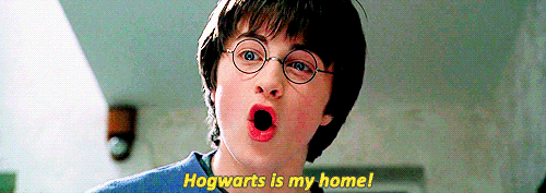 Harry Potter shouts, "Hogwarts is my home!"