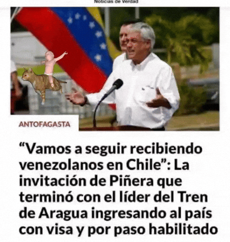 Piñeracasadesordenada GIF