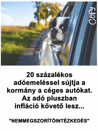 Nem Nem Nem Ez Nem Megszorito Intezkedes GIF