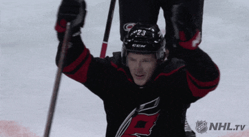 celebrate ice hockey GIF by NHL
