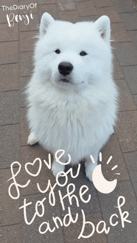 Te Amo Love GIF