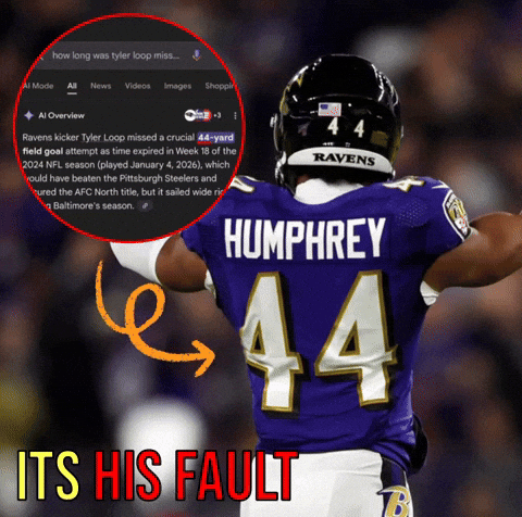 Baltimore Ravens GIF