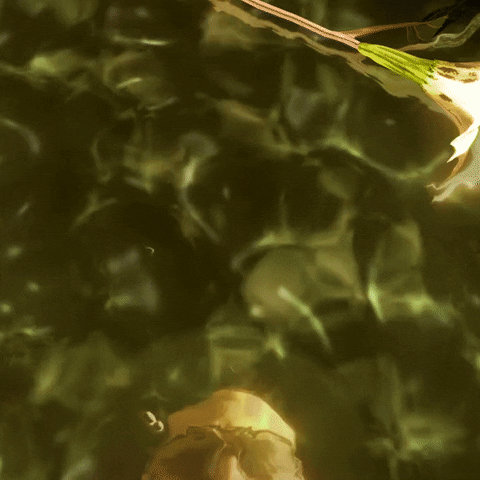Father Reflection GIF by Far Cry 6