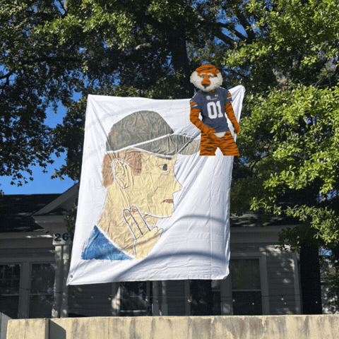 Lane Kiffin Football GIF