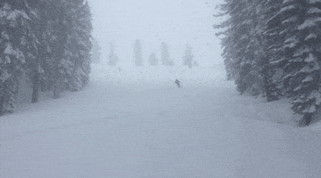 mary toft skiing GIF by Elevated Locals