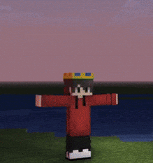 Fly GIF