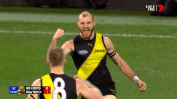 footy celebrations GIF by AFL
