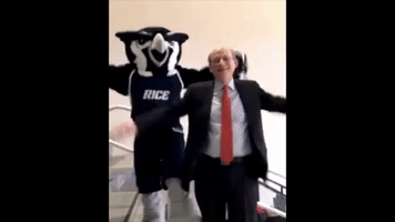 Rice Owls Fly GIF