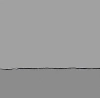 flowers love GIF by Chippy the Dog