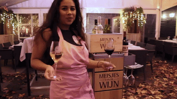 Wine Mvdw GIF