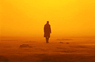 Real GIF