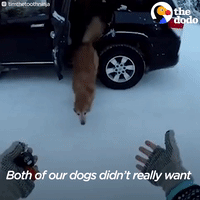 200.gif?cid=fc005b08894d8f61b6dcb3e7179f36fcc59a49ce76187677&rid=200.gif&ct=g
