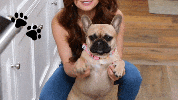 french yes GIF by Rosanna Pansino