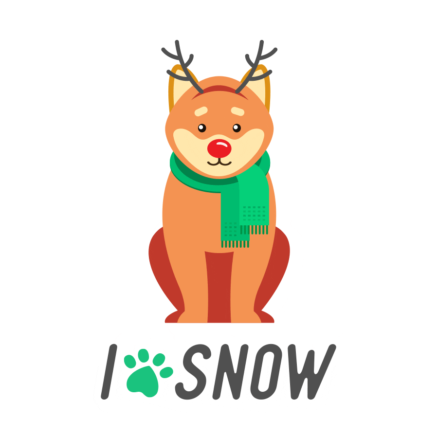 Dog Snow Sticker by for iOS & Android GIPHY