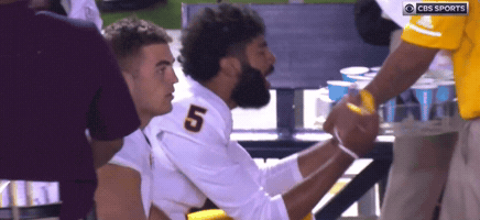 Asu GIF