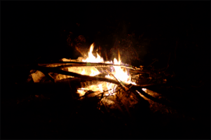 Fire Night GIF