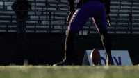Tarleton-friends GIFs - Get the best GIF on GIPHY