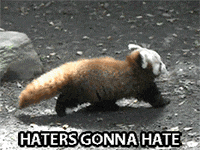 Baby Red Panda Gifs Get The Best Gif On Giphy Baby Red Panda Gifs Get The Best Gif On Giphy