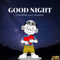 Dream Big Good Night GIF by Zhot