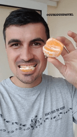 Feed-the-bear GIFs - Get the best GIF on GIPHY