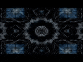 baxter  GIF
