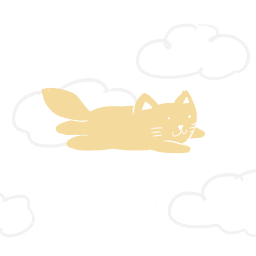 cat flying GIF by hoppip