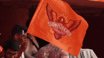 Sunrisers Hyderabad Orange GIF