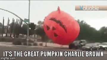its the great pumpkin charlie brown