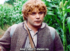 samwise gamgee