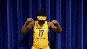 basketball sport GIF by Indiana Fever