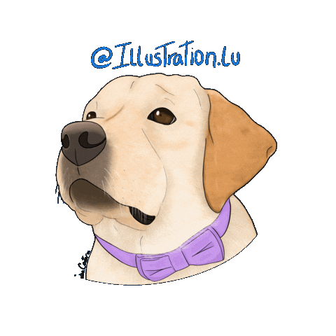 Dogs Perros Sticker